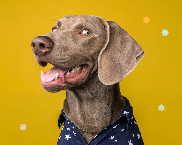 Vilnius outlet naujienos