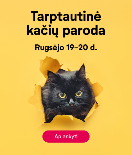Vilnius outlet